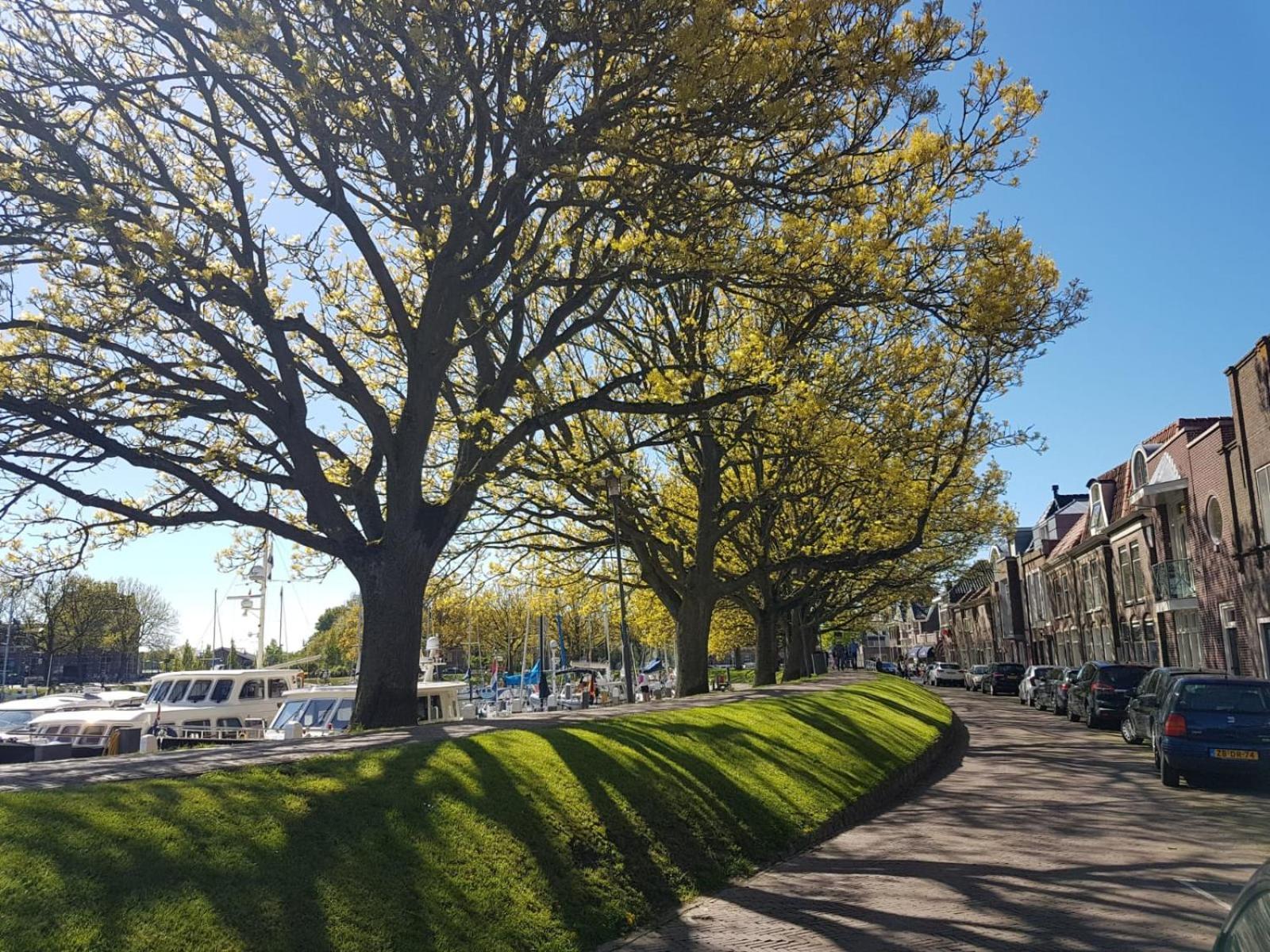 Appartement Havenzicht Enkhuizen Exteriör bild